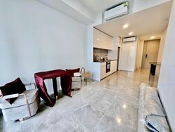 Amber Park (D15), Condominium #455932831